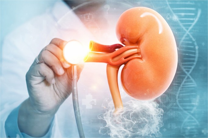 Dispositivos Medicos Para Nefrologia Ecuador